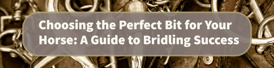 Choosing the Perfect Bit - Aitken's Saddlery