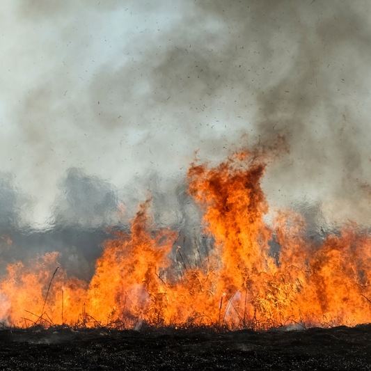 Preparing Your Horse Property for Bush Fire Season