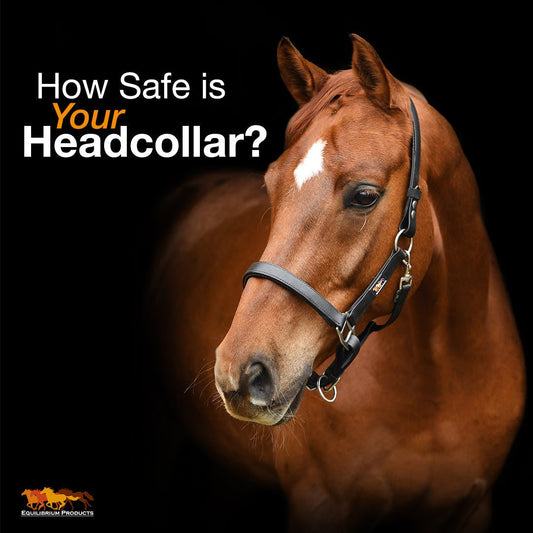 How Safe is Your Horse Headcollar? - Aitken's Saddlery