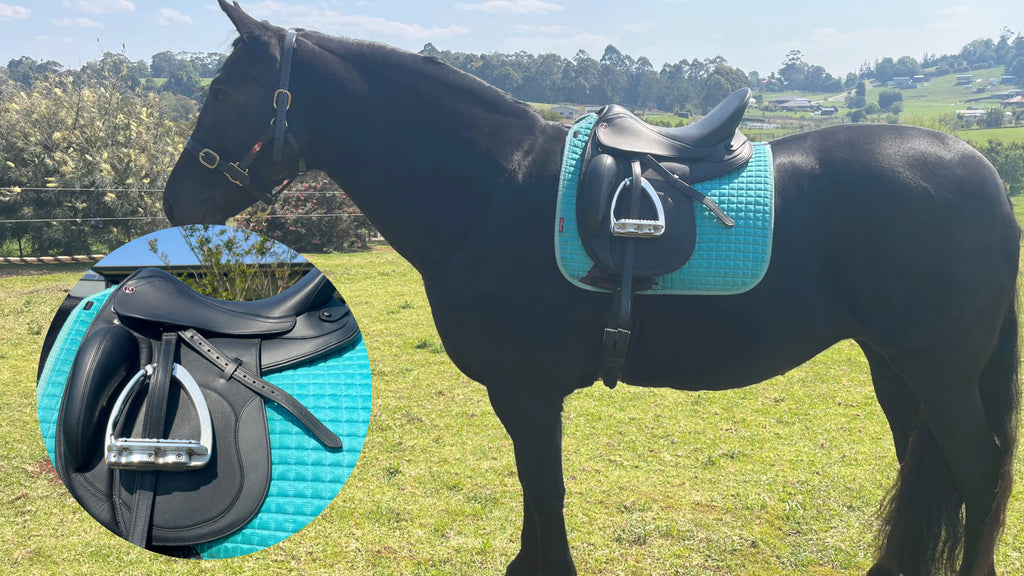 Mystique Modeling the Kieffer Brugge Saddle: The Perfect Choice for Wide Horses and Baroque Breeds