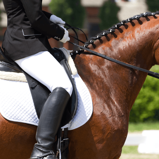 Mastering the Fit of Your Show Coat - Aitken's Saddlery