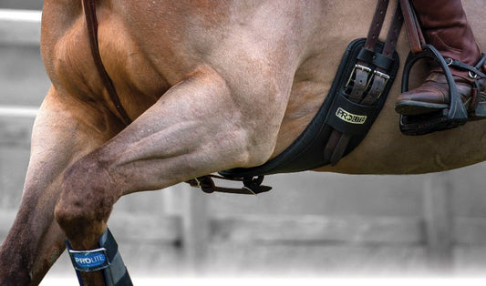 PROLITE GIRTH FITTING - Aitken's Saddlery