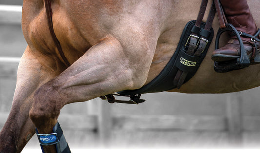 HOW TO CLEAN YOUR PROLITE GIRTH.