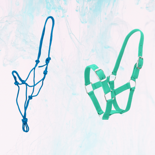 Rope vs. Web/Nylon Halters: Exploring the Pros and Cons - Aitken's Saddlery