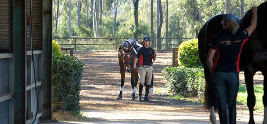 SADDLE FITTING – FAQ - Aitken's Saddlery