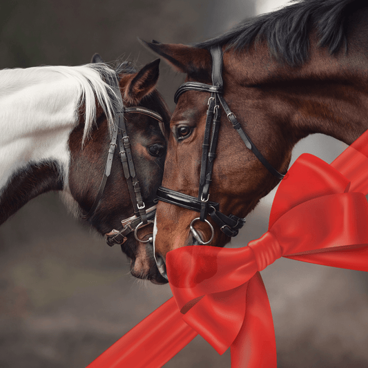 Saddle Up for Adventure: A Guide to Buying the Perfect Horse Riding Gift from Aitken's Saddlery - Aitken's Saddlery