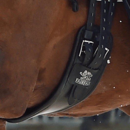 Shaped Girths vs. Straight Girths - Aitken's Saddlery