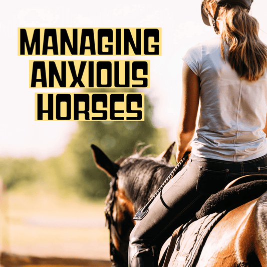 Show Anxiety - Aitken's Saddlery