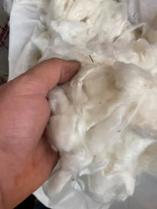 The Benefits of Wool Flock for Saddles - Aitken's Saddlery