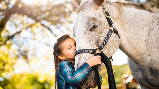The Healing Power of Animal-Assisted Therapy - Aitken's Saddlery