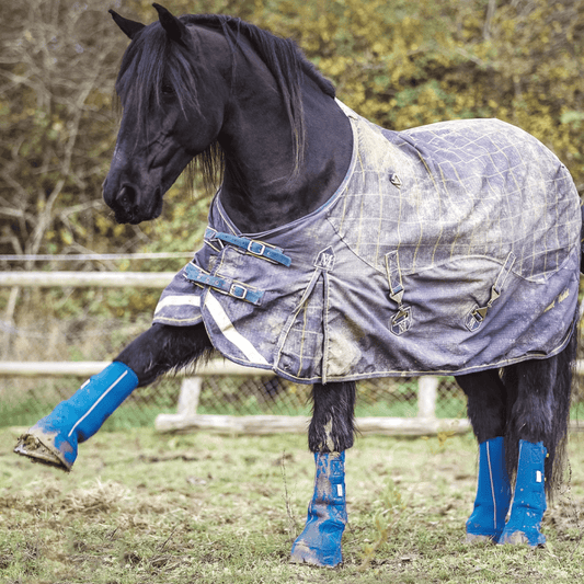 Top Tips for Preventing Mud Fever in Australian Horses - Aitken's Saddlery