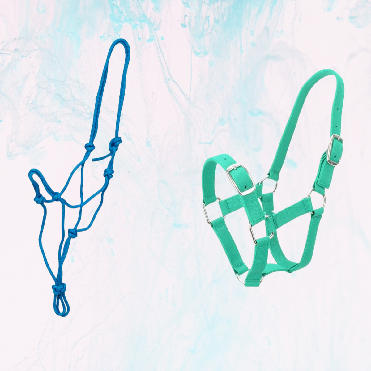 rope-vs-web-nylon-halters-exploring-the-pros-and-cons-aitken-s-saddlery