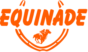 Equinade