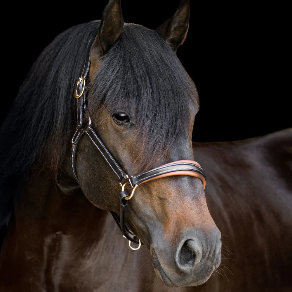Lumiere Bella Leather Halter