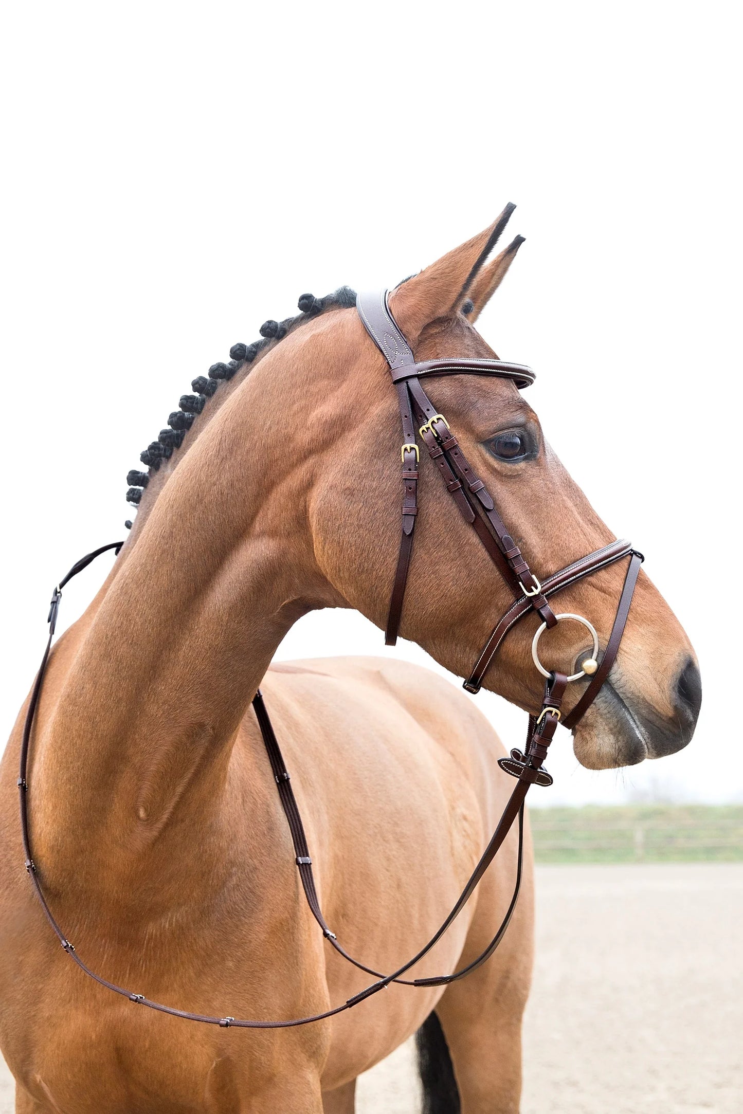Horze Constance Hannovrian Bridle Brown