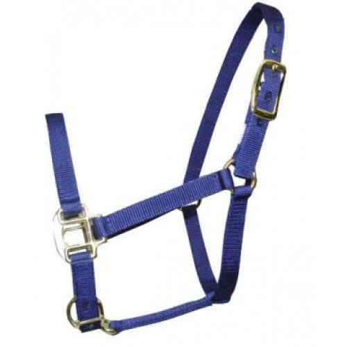 Foal Web Halter Brass Fittings