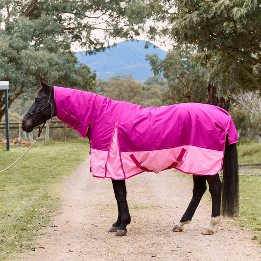 Eureka Bounty Medium Winter Combo Pink