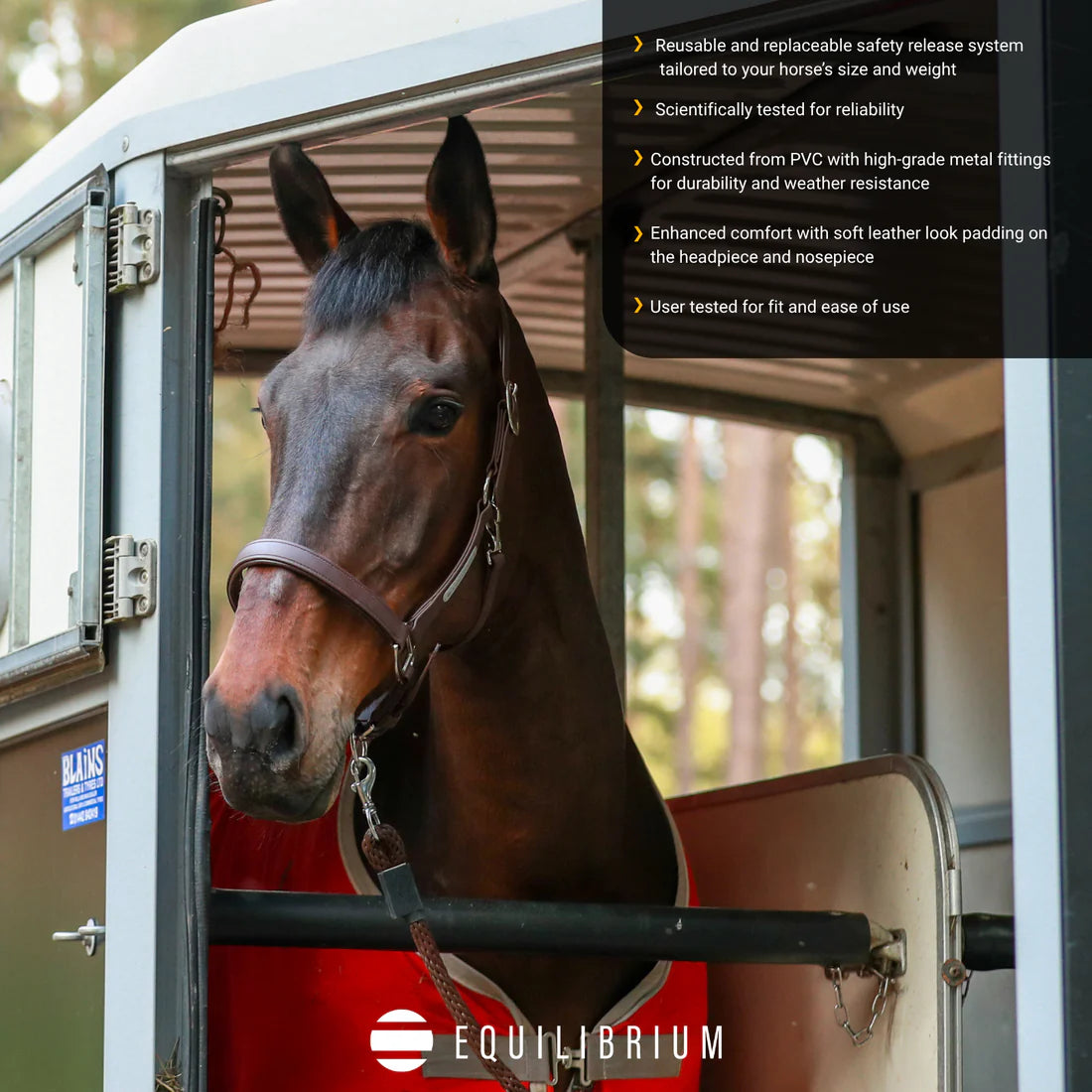Equilibrium Stellar Headcollar II