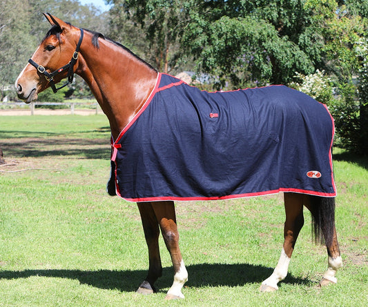 Stadium Wool Rug
