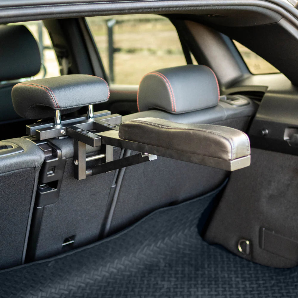 Lumiere Car Safe Caddy