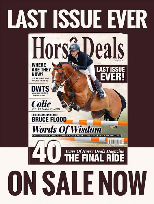Horse Deals