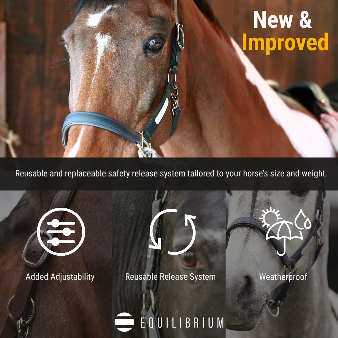 Equilibrium Stellar Headcollar II