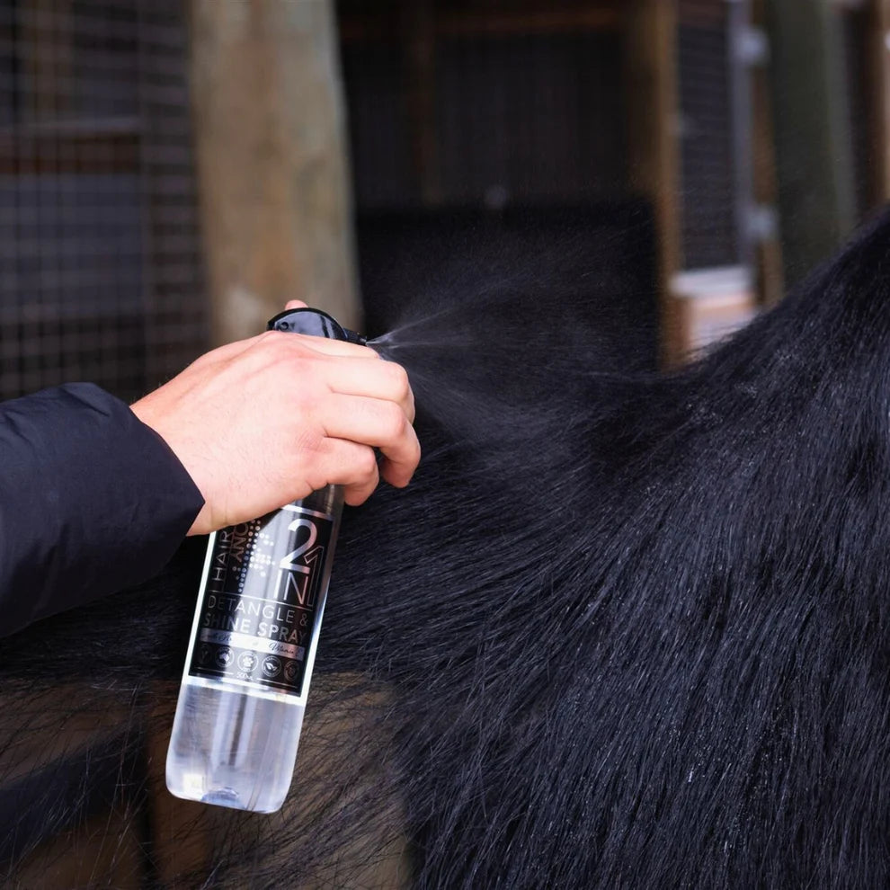 Hairy Pony 2 in 1 Detangle & Spray Original
