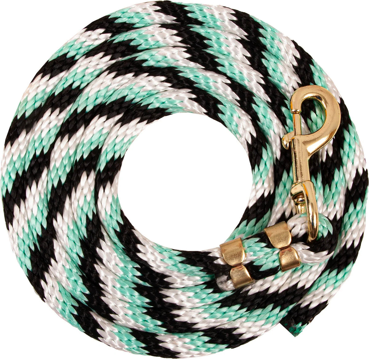 Ezy Ride Poly Lead Rope 5/8 Inch 9 Foot