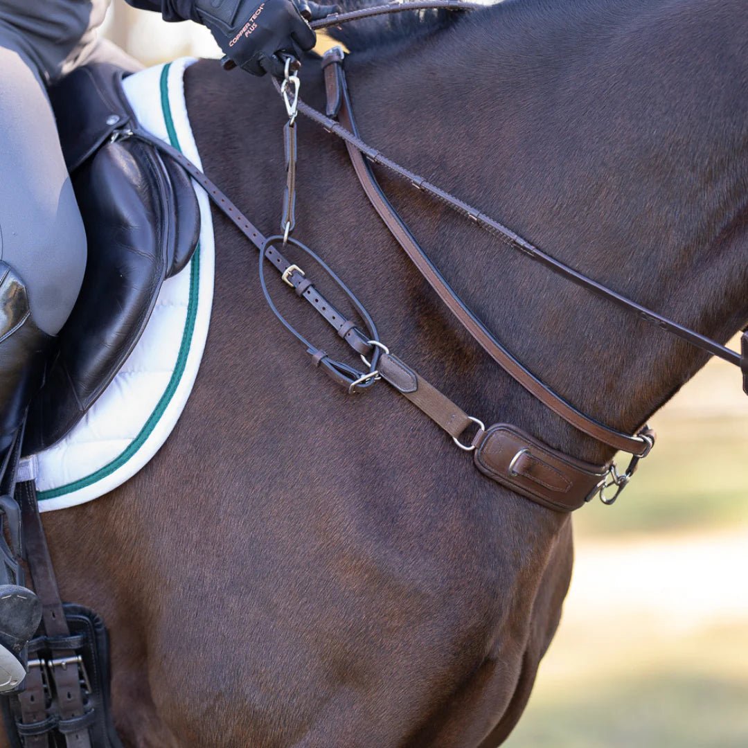 3-in 1 Training Breastplate - Aitken's Saddlery