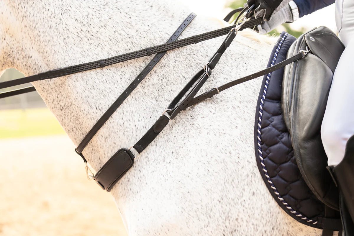 3-in 1 Training Breastplate - Aitken's Saddlery