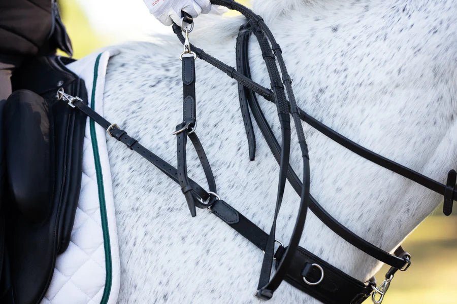 3-in 1 Training Breastplate - Aitken's Saddlery