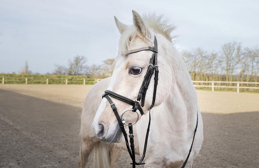 Horze Pony Bridle Black & Pink