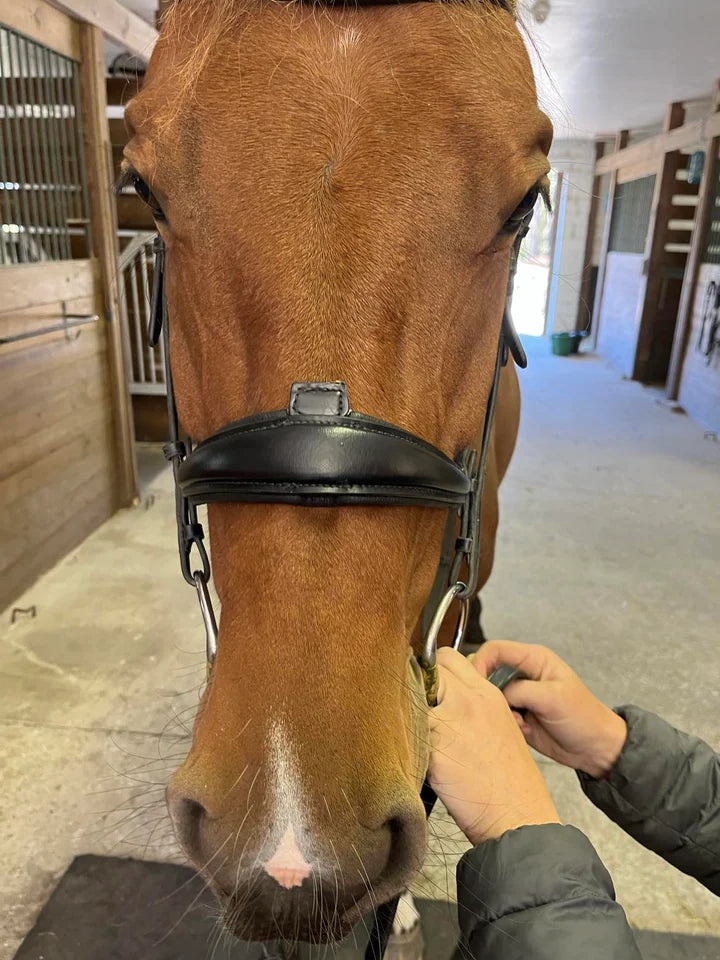 Hidden Flash Pro Fit Bridle Patent Noseband & Crystal Browband  Black
