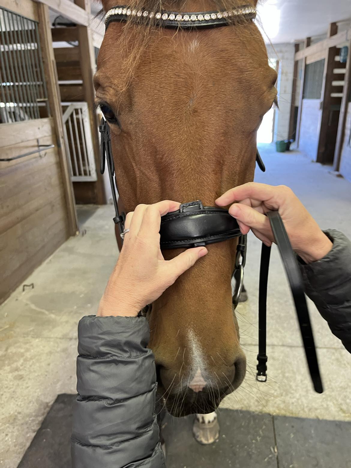 Hidden Flash Pro Fit Bridle Patent Noseband & Crystal Browband  Black