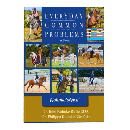 Every Day Common Problems by John Kohnke