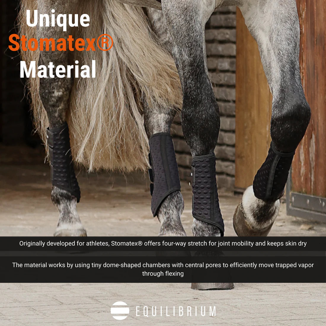 Stretch & Flex Flatwork Wraps New Black