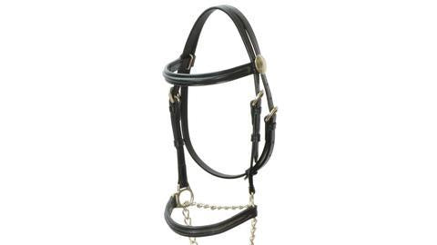 Led In Bridle With Rein