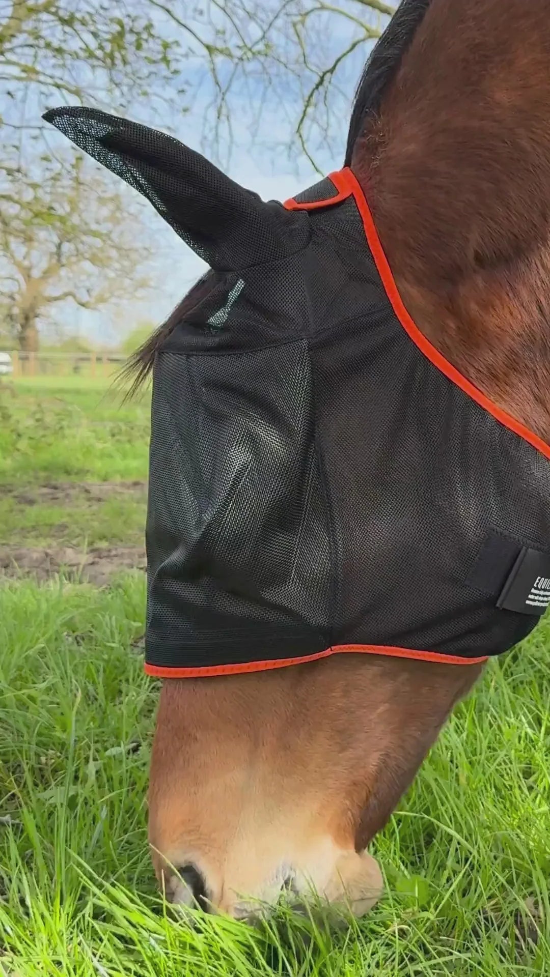 Equilibrium Fly Mask Midi with Ears Black