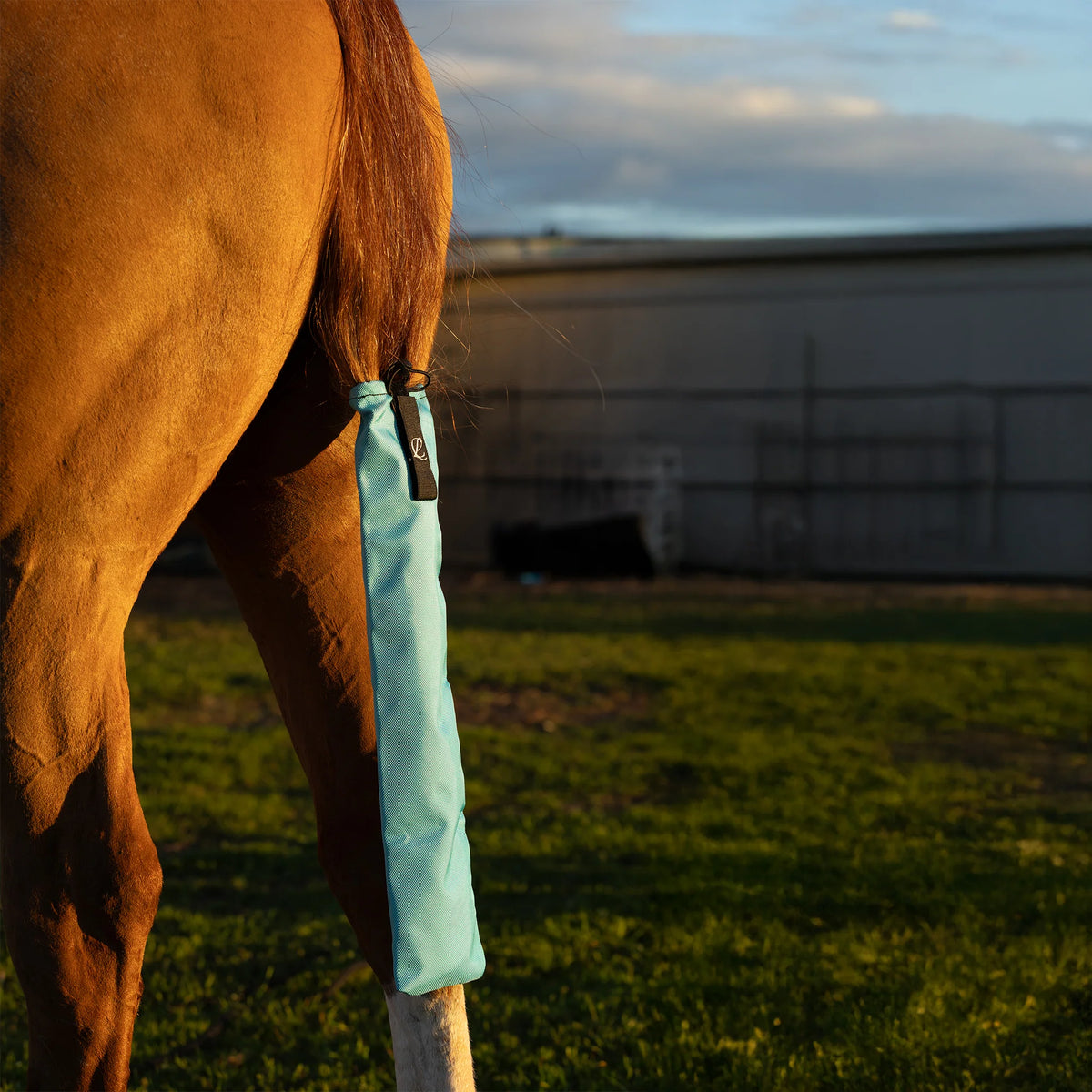 Lightning Clothing Company Tail Bag