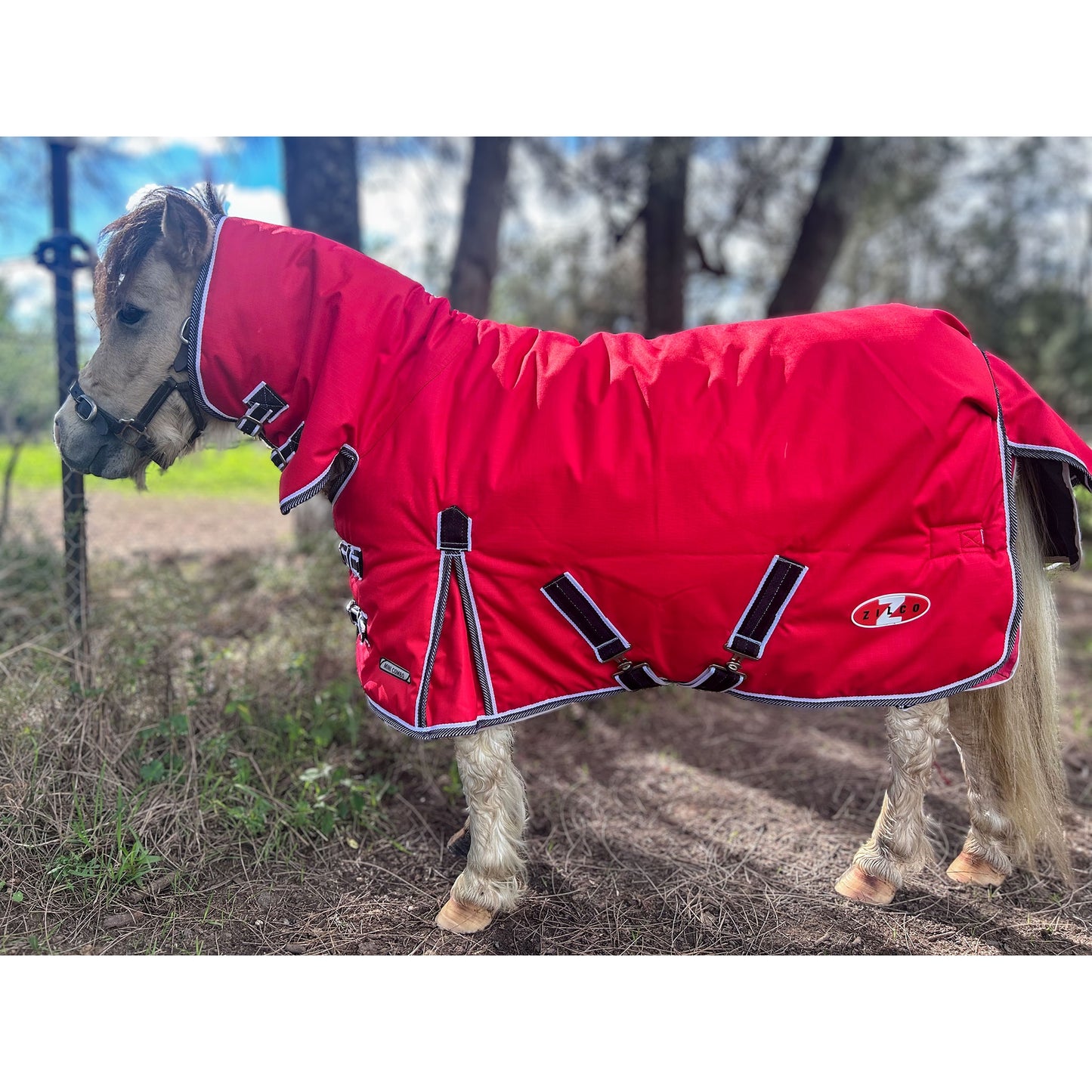 Combo Mighty Mini 200 Red