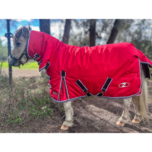 Combo Mighty Mini 200 Red