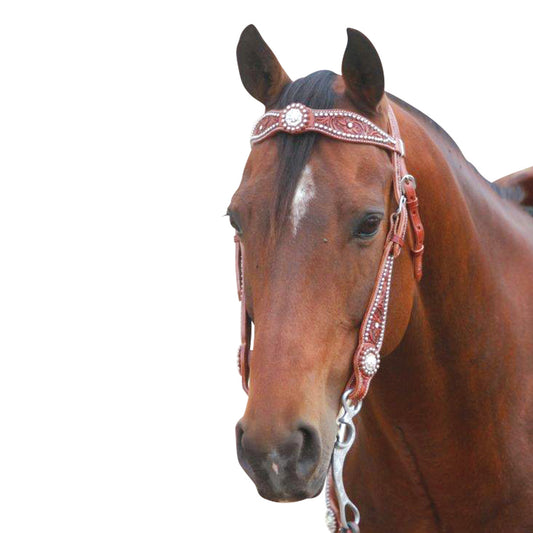 Swarovski Crystal & Stud Western Bridle