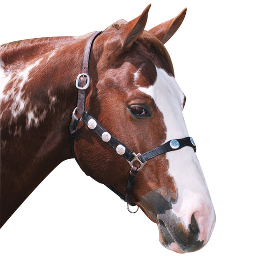 Scalloped Western Headstall Brown