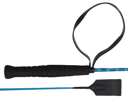 Aintree Pony Club Whip
