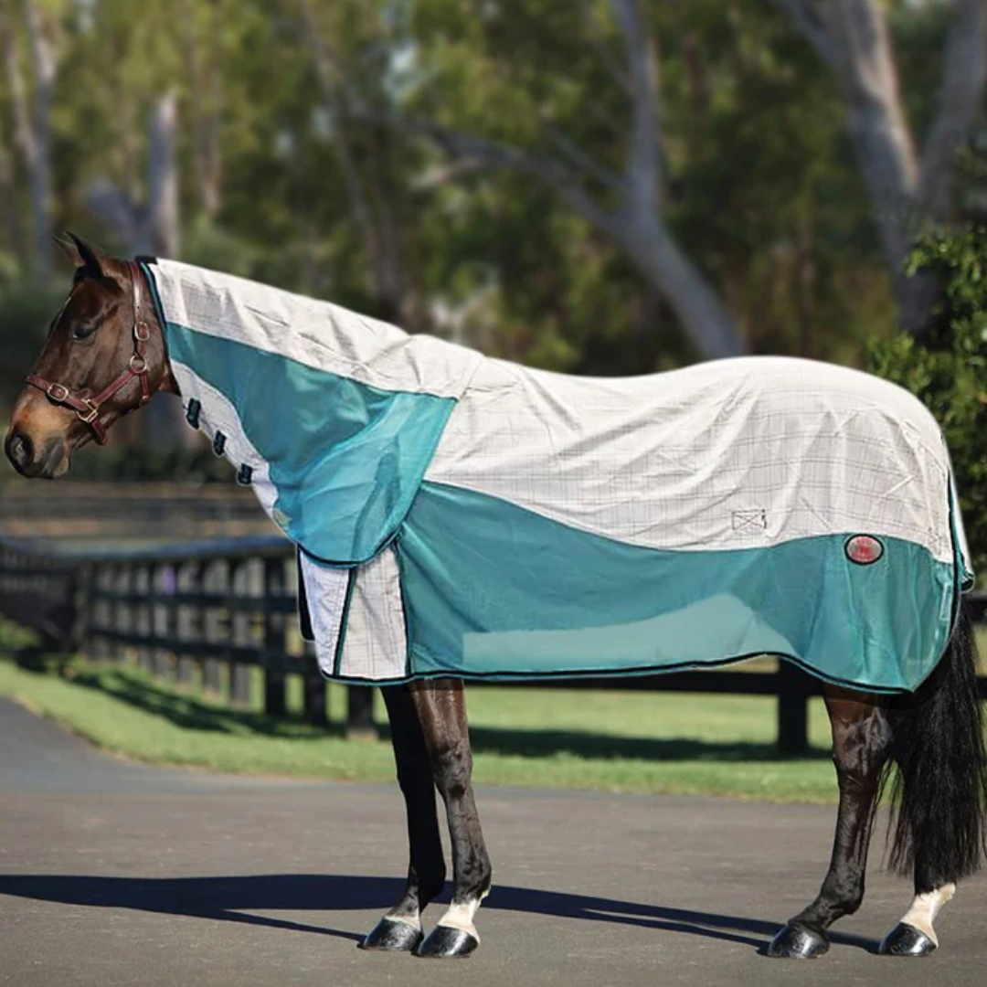 Air Max Combo White with Turquoise