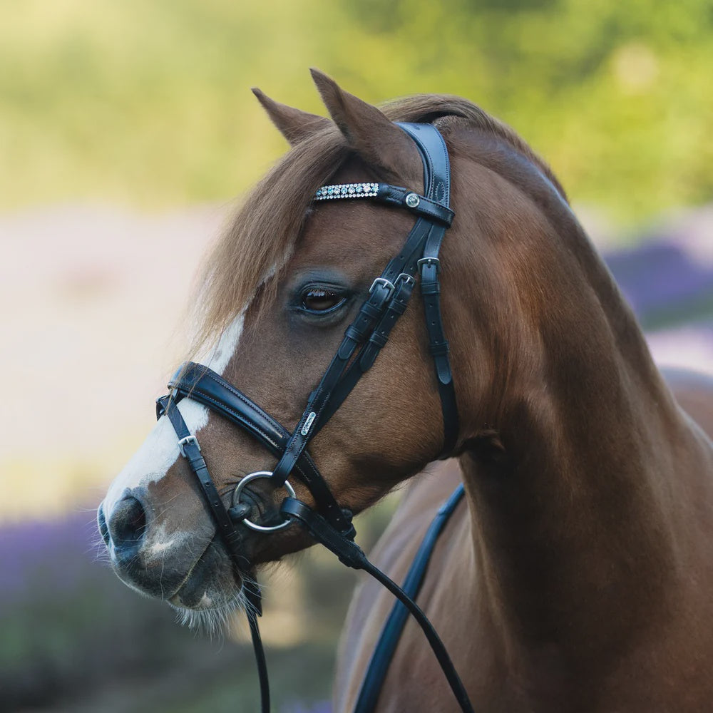 Lumiere Anastasia Leather Bridle
