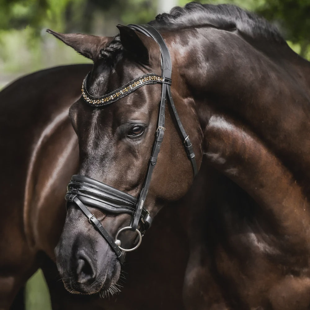 Lumiere Ariana Hannovrian Bridle