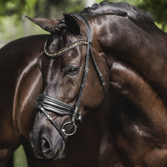 Lumiere Ariana Hannovrian Bridle