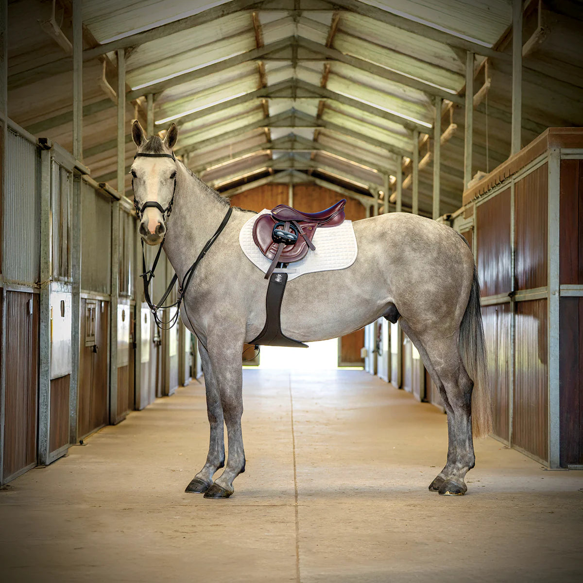 Fairfax Zodiac Aries Jump Saddle