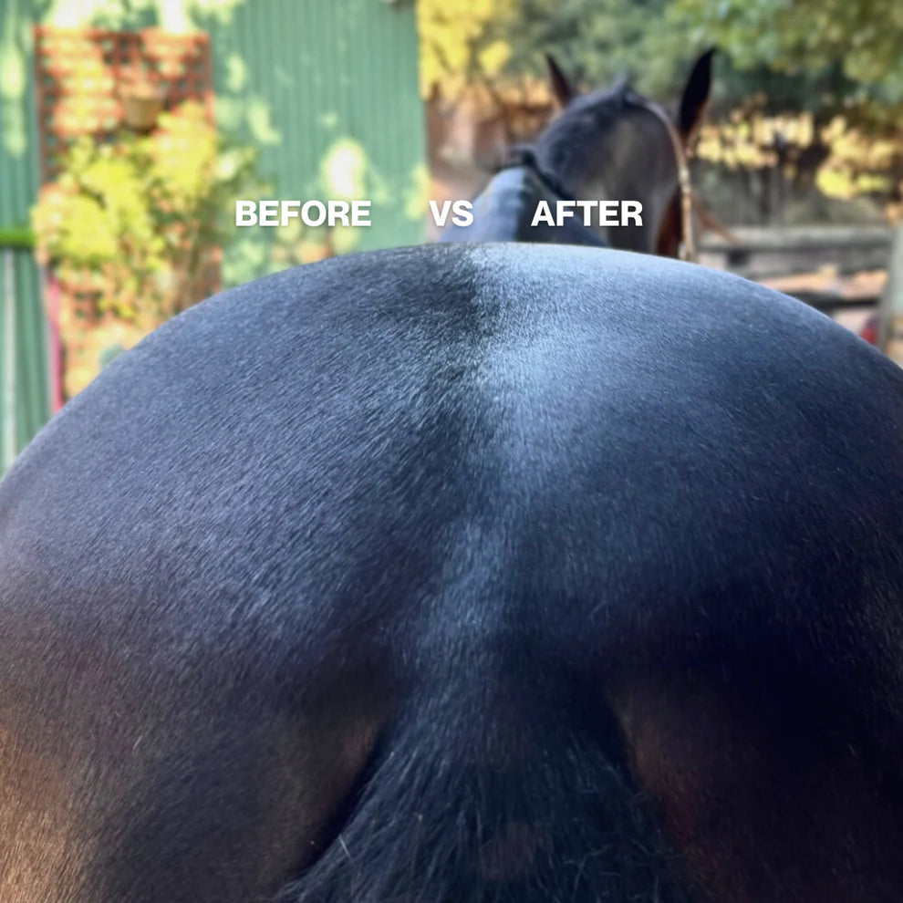 Hairy Pony Pre Mixed Essential Oil Coat Conditioner